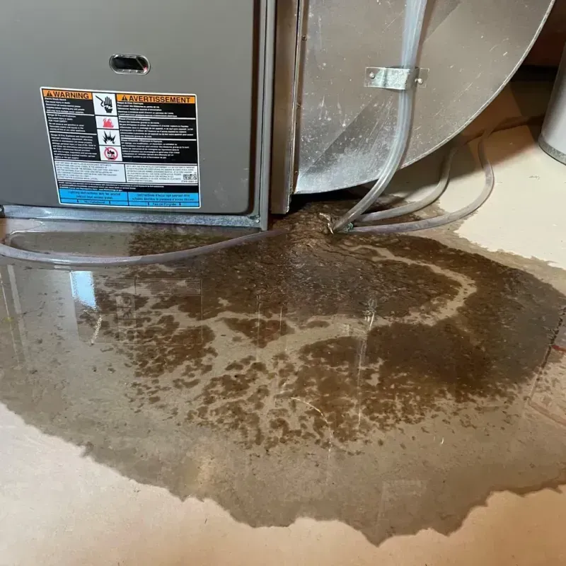 Appliance Leak Cleanup in Saint Augustine, FL